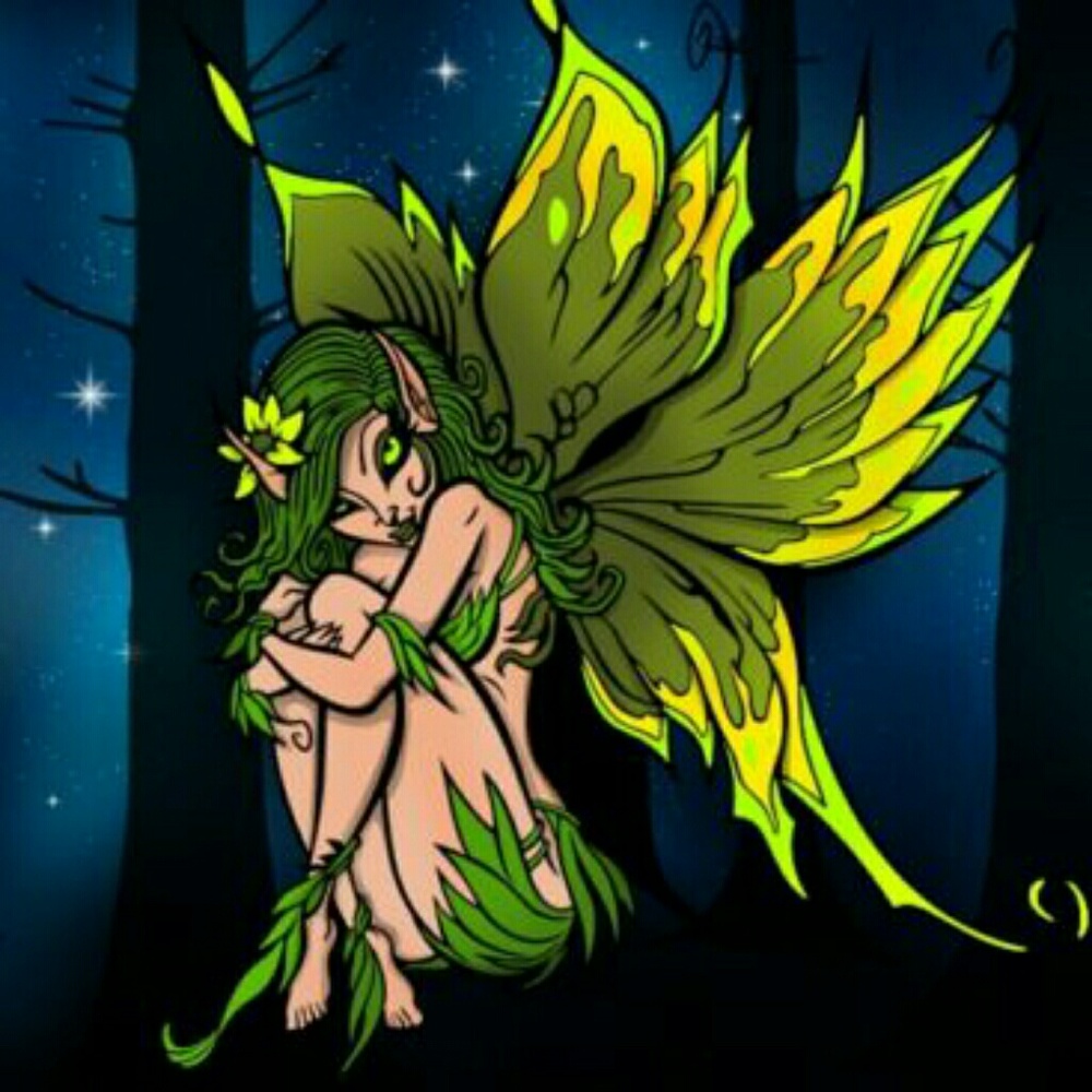 FAIRY Airbrushed T-shirt Custom Made to Order